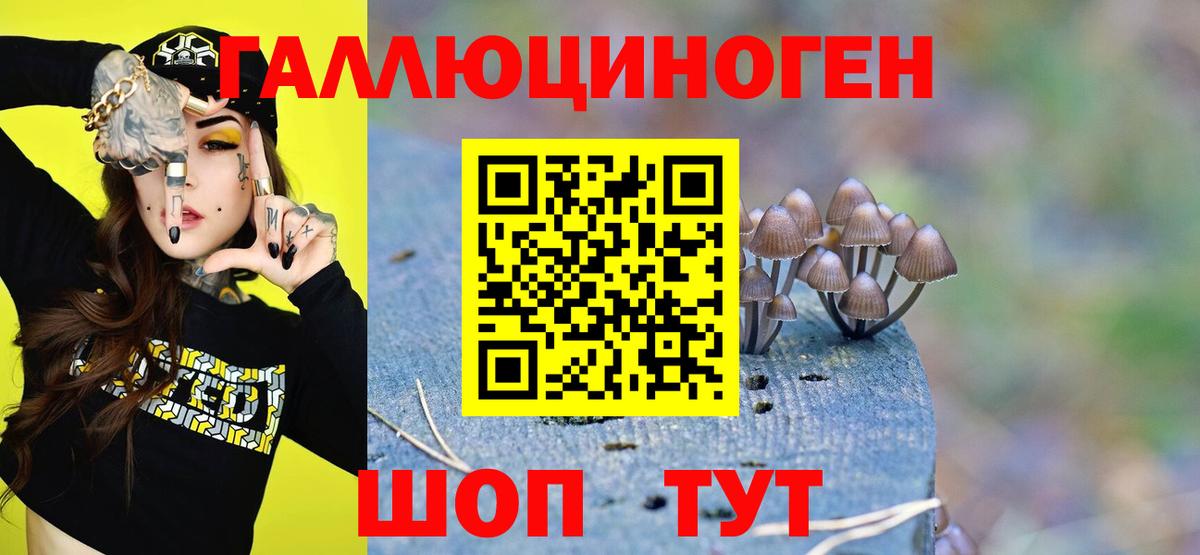 Псилоцибиновые грибы Magic Shrooms  Вход с VPN  Псилоцибиновые грибы мицелий  Соль-Илецк 