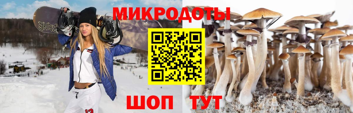 Псилоцибиновые грибы прущие грибы Соль-Илецк